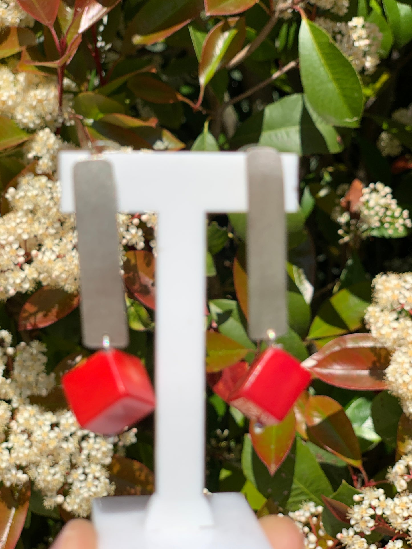 PENDIENTES  PLATA - RED